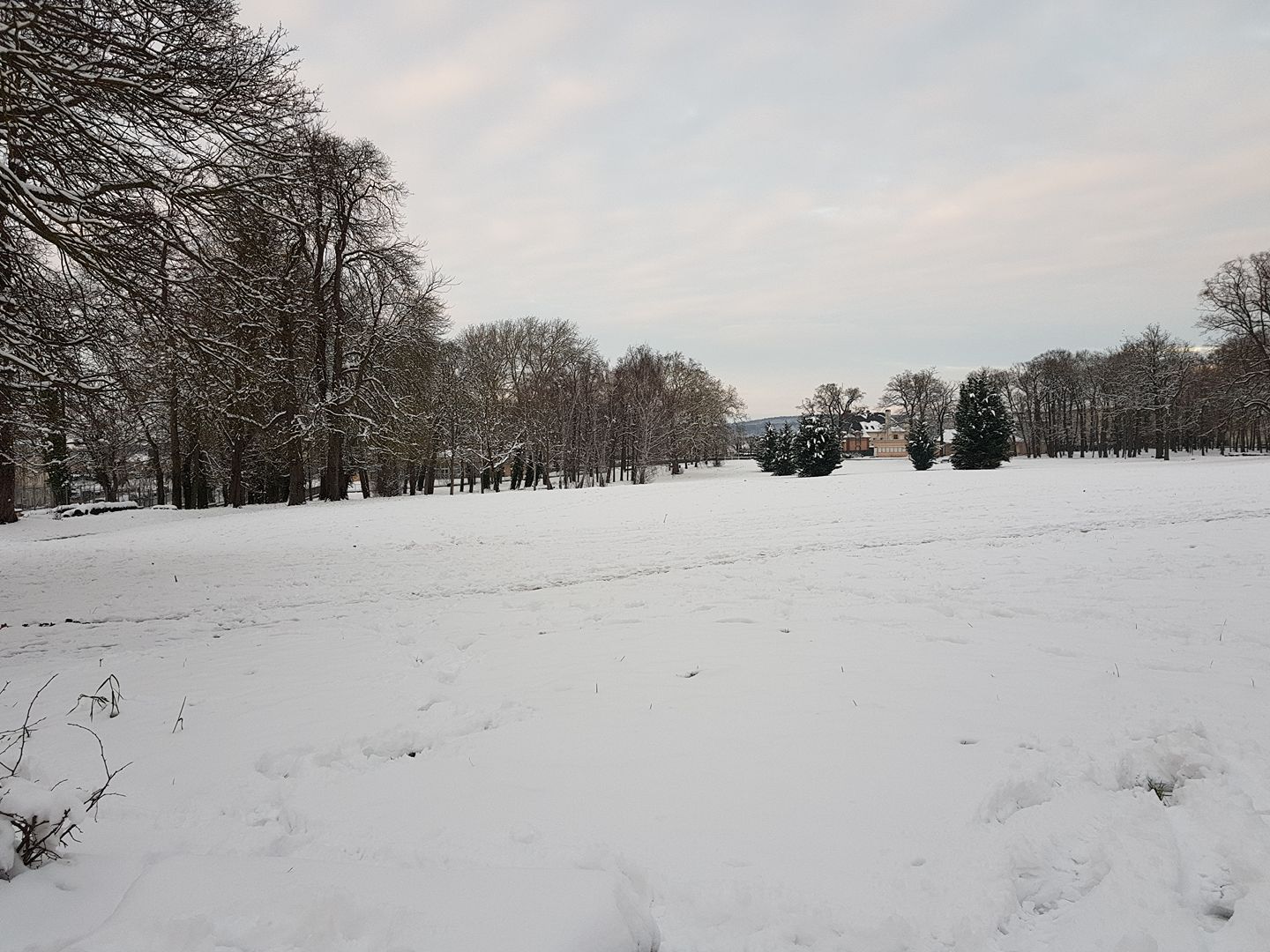 Les Mureaux Parc de Becheville sous la neige