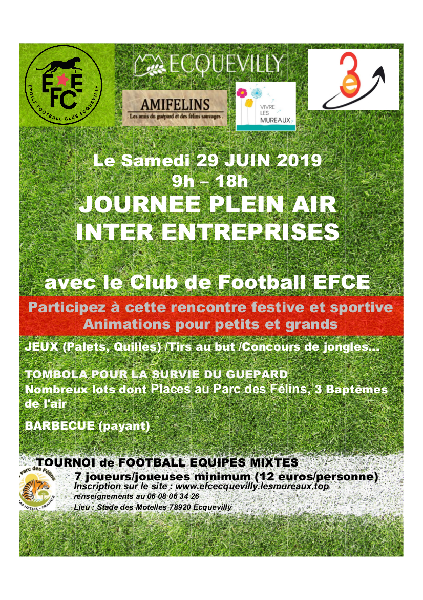 affiche tournoi 29 juin 2019 EFCE Ecquevilly