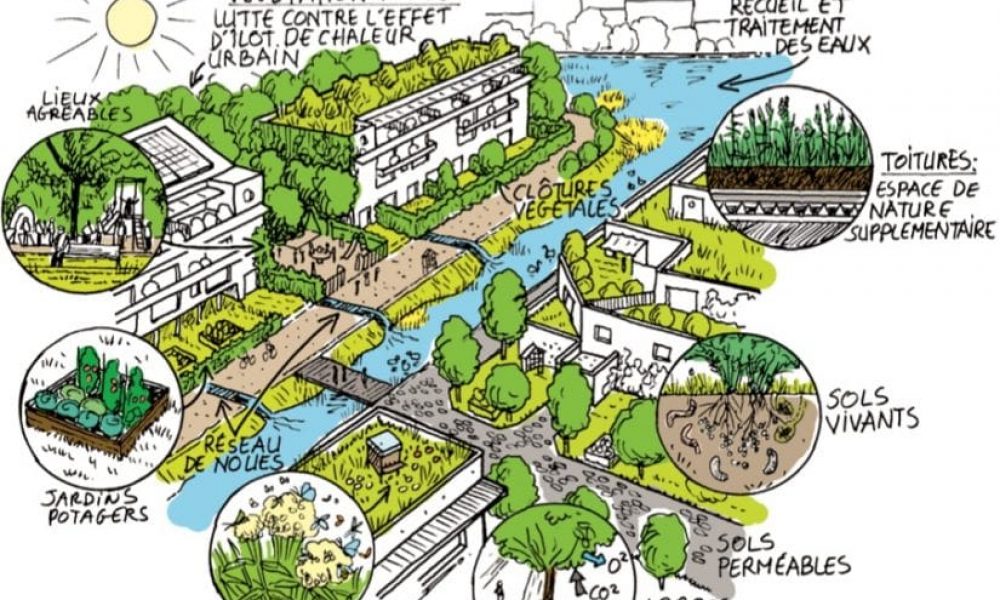 Adapter La Ville Au Changement Climatique Terres De Seine