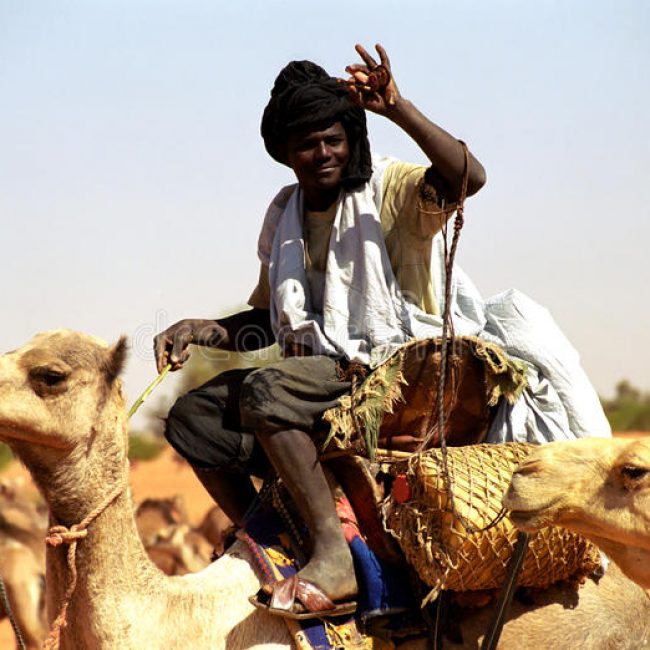 Journée de la Mauritanie