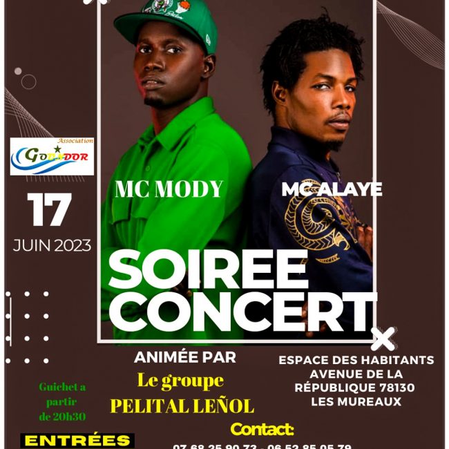 Soirée concert organisée par l&rsquo;association Sénégalaise GOUNDOR aux Mureaux