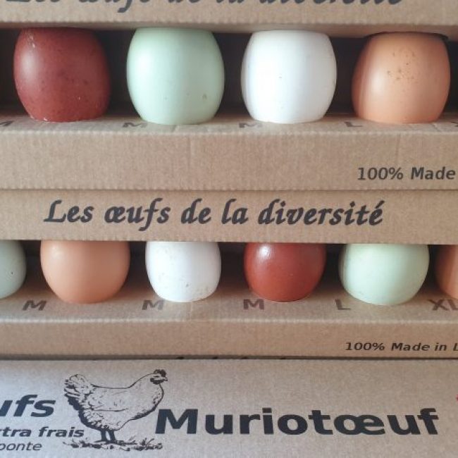 Promotion de la marque Muriotœuf