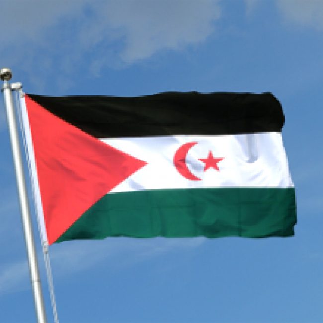 43ème Anniversaire de la Proclamation de la République Arabe Sahraouie Démocratique