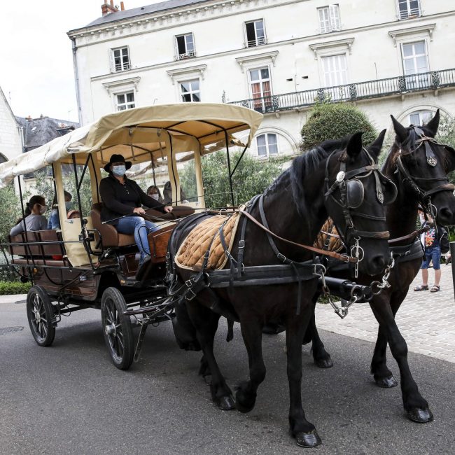 Balades en calèche aux Mureaux