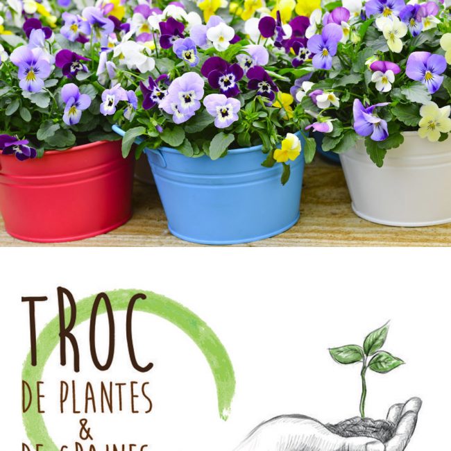 Troc de plantes