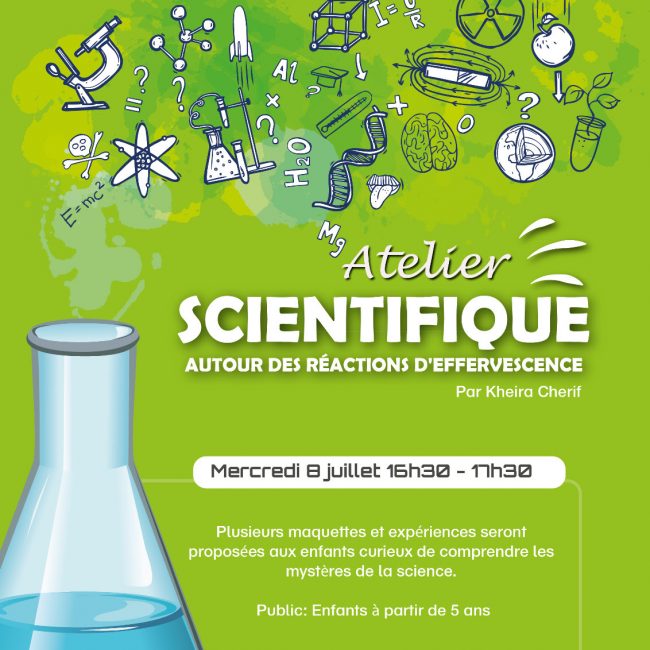 Atelier scientifique : Autour des réactions d&rsquo;effervescence