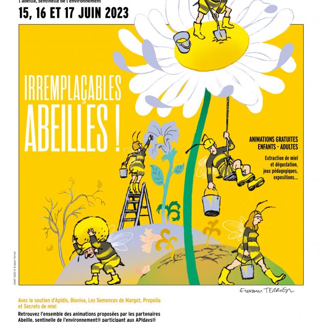 APIdays aux Mureaux