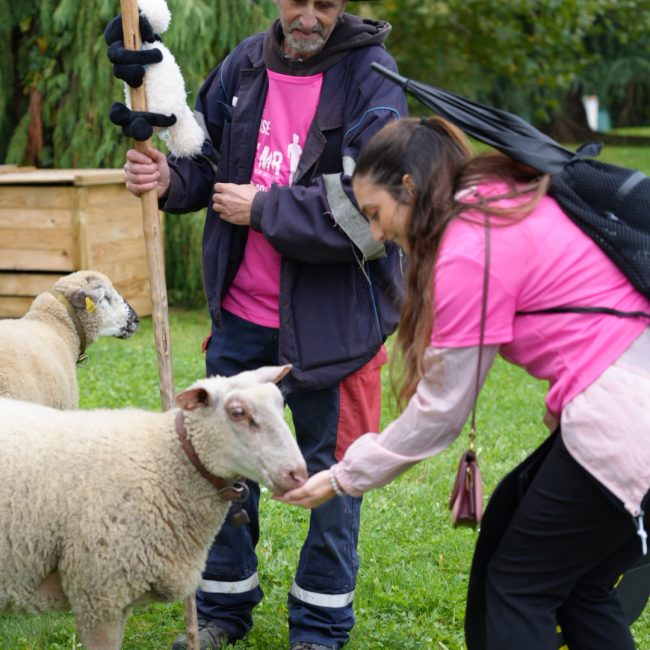 Venez marcher avec le berger urbain