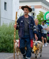 Venez marcher avec le Berger des Mureaux