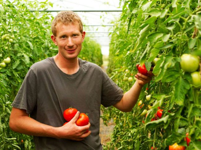 Bio et local : Ferme de la Haye – Les Mureaux