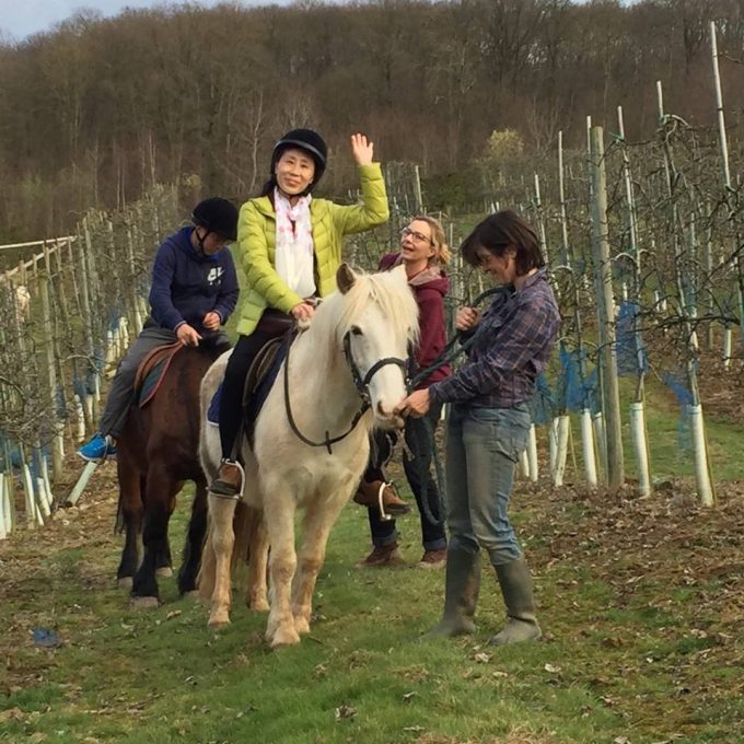 Les chevaux des Préaux &#8211; Ecquevilly