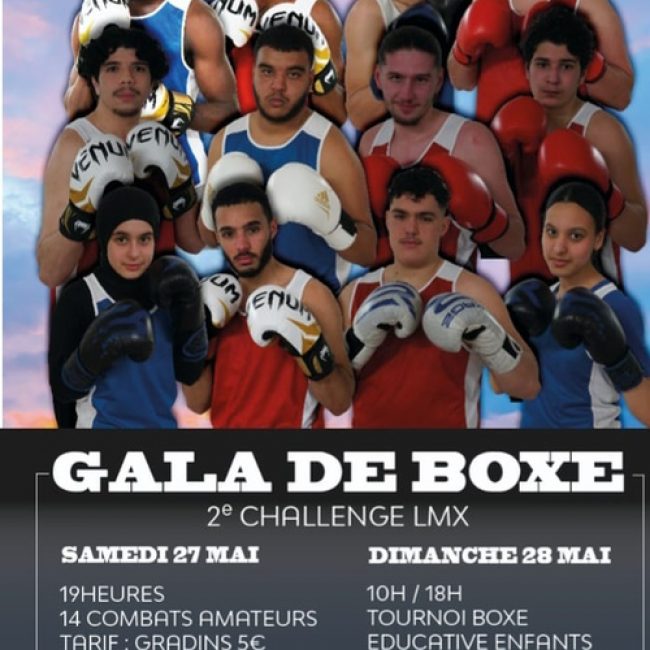 Gala de Boxe 2023 : 2ème Challenge LMX 2023 aux Mureaux