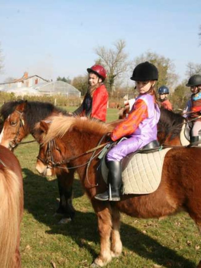 Centre Équestre – Poney Club du Val de Seine 78