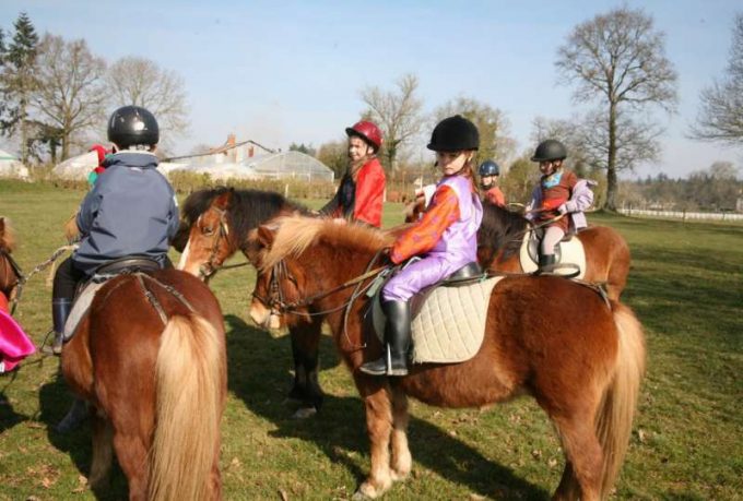 Centre Équestre &#8211; Poney Club du Val de Seine 78