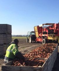 Ferme des Garennes – Agriculture biologique