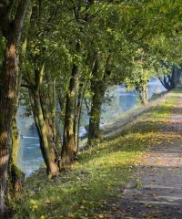 Vél’aux Mureaux Seine Aval