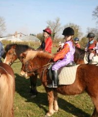 Centre Équestre – Poney Club du Val de Seine 78