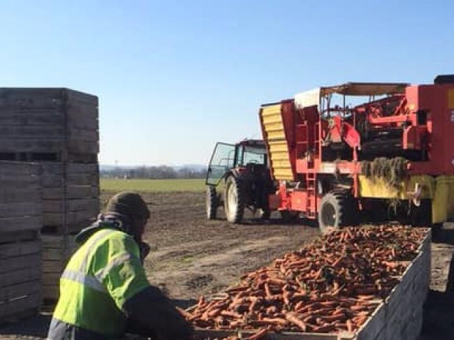 Ferme des Garennes – Agriculture biologique