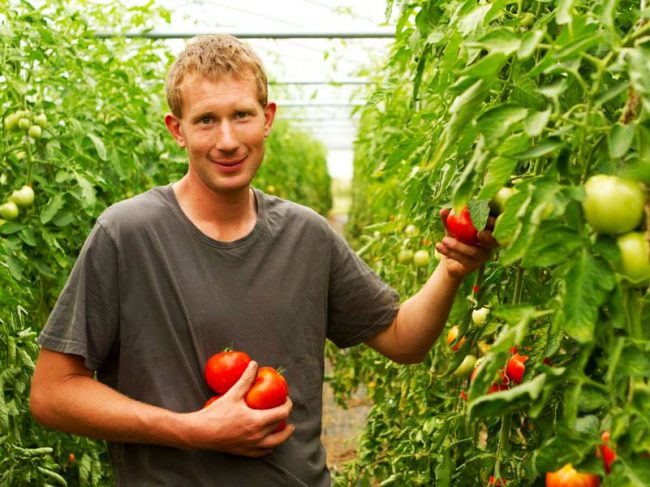 Bio et local : Ferme de la Haye – Les Mureaux