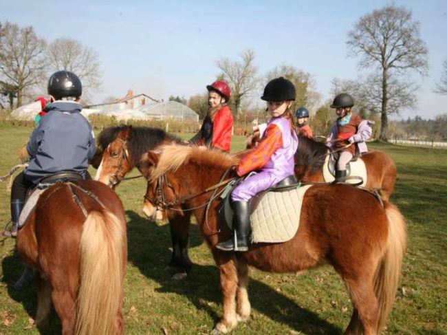 Centre Équestre – Poney Club du Val de Seine 78