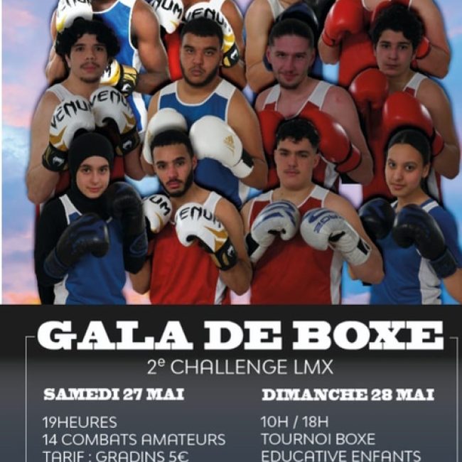 Gala de Boxe 2023 : 2ème Challenge LMX 2023 aux Mureaux