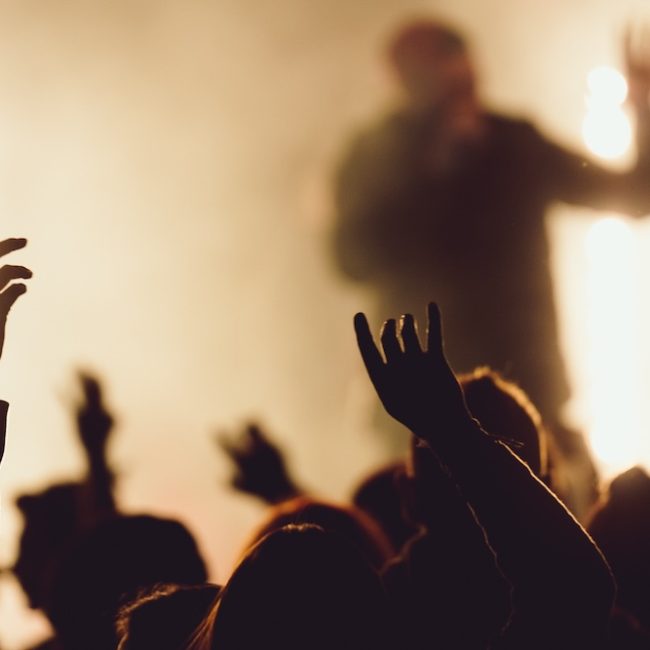 Soirée(s) musicale(s) au Parc de l’Oseraie