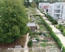 Les écoquartiers des Mureaux sur TF1