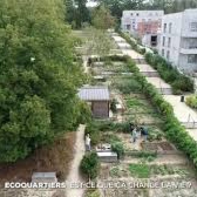 Les écoquartiers des Mureaux sur TF1