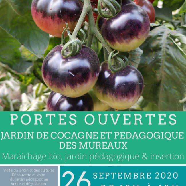 Journée portes ouvertes du Jardin de Cocagne des Mureaux
