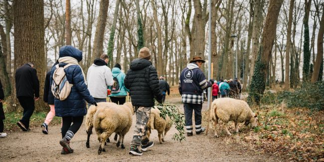 🐑 Petits pas, grandes rencontres [Chronique Quotidienne]