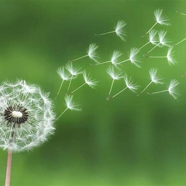 Forum des talents et Assemblée Générale du PTCE Vivre Les Mureaux