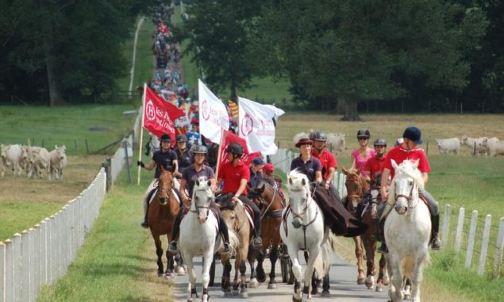 Equirando Yvelines Les Mureaux
