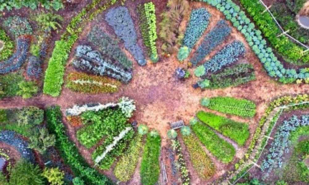 Jardin-Mandala-Les-Mureaux-453608115