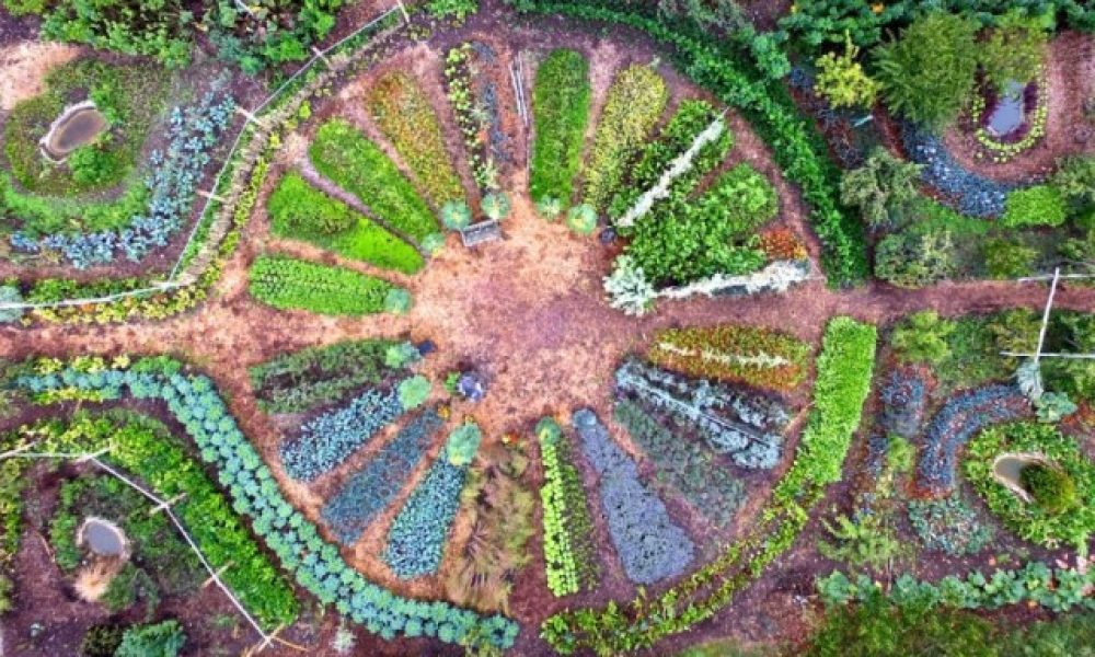 Jardin Mandala Les Mureaux
