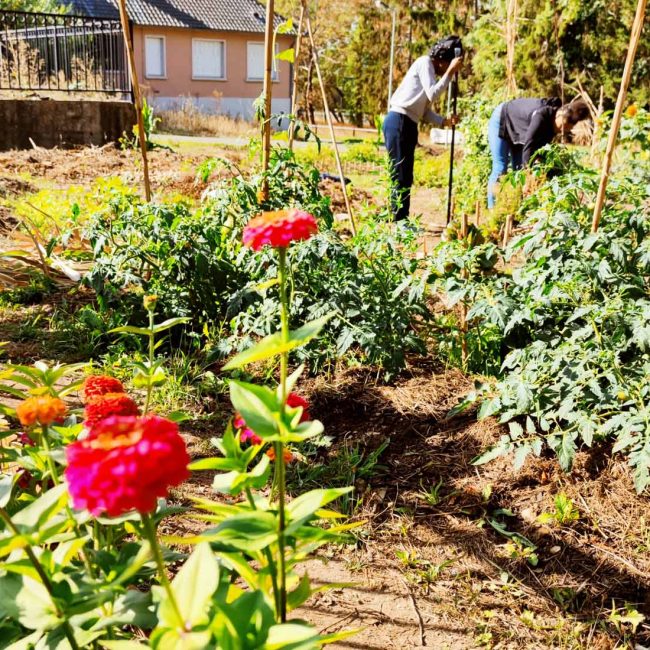 Des nouvelles des &lsquo;Jardins de la Rencontre&rsquo; au parc du château de Bècheville