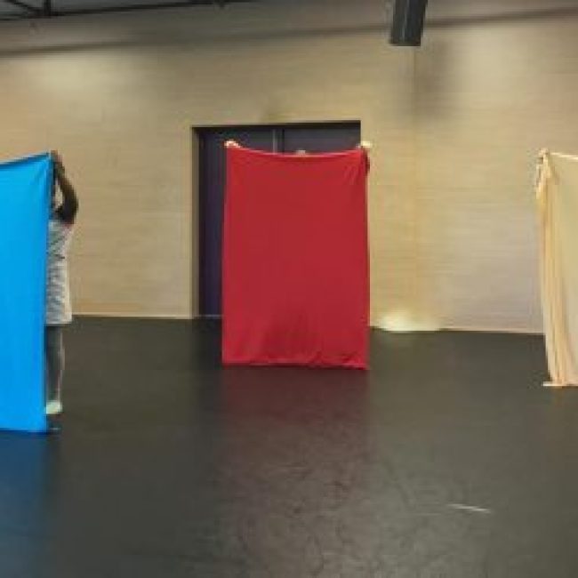 Spectacle Managroup :  » LE ROI S’EST FAIT LA MALLE « 