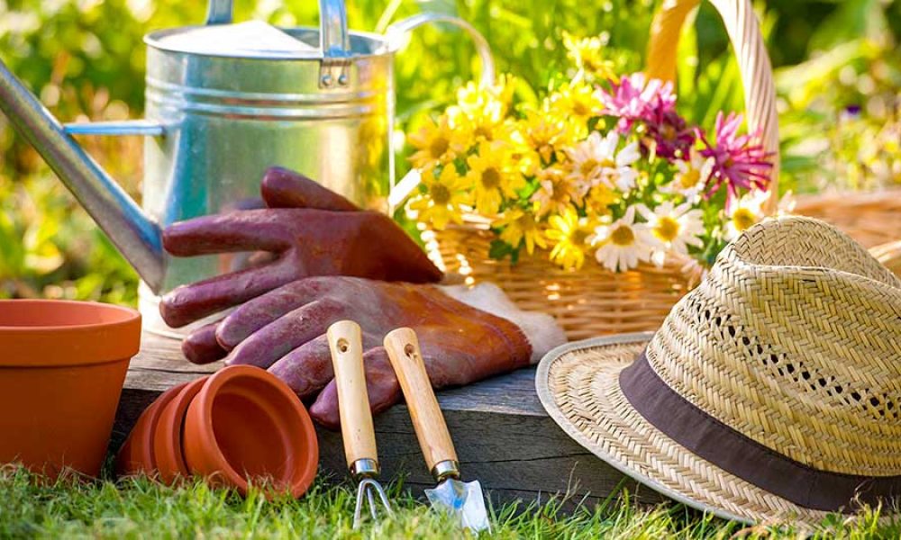 Partage de jardin potager