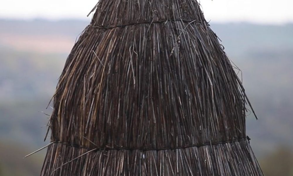 ruche paille Les Mureaux