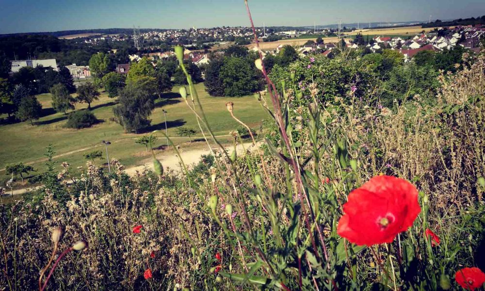 Voeux 2019 Vivre Les Mureaux