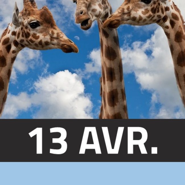 En Aparté