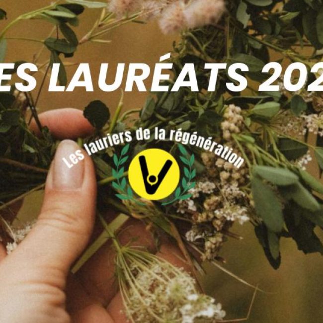 LES MUREAUX CONSACRÉS AUX LAURIERS DE LA RÉGÉNÉRATION 2026 :