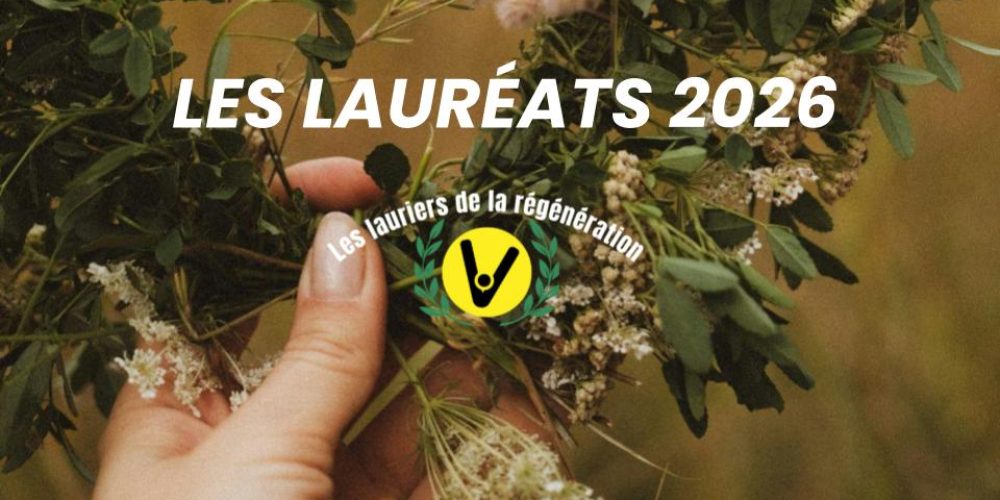 LES MUREAUX CONSACRÉS AUX LAURIERS DE LA RÉGÉNÉRATION 2026 :