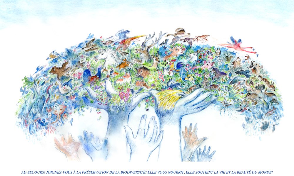 Biodiversité