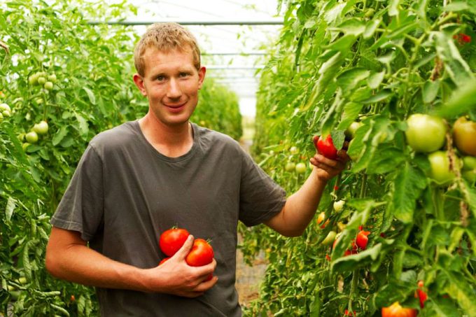 Bio et local : Ferme de la Haye – Les Mureaux