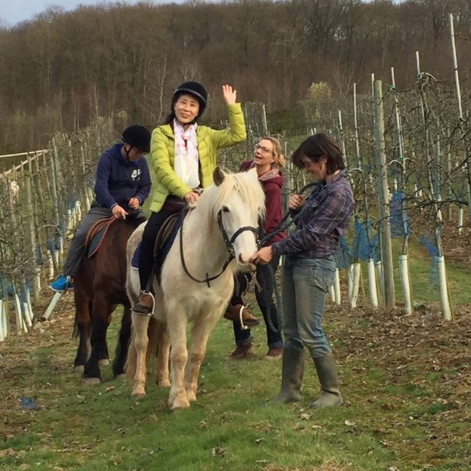 Les chevaux des Préaux – Ecquevilly