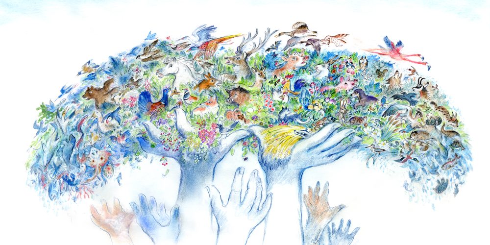 Consultation nationale sur la biodiversité