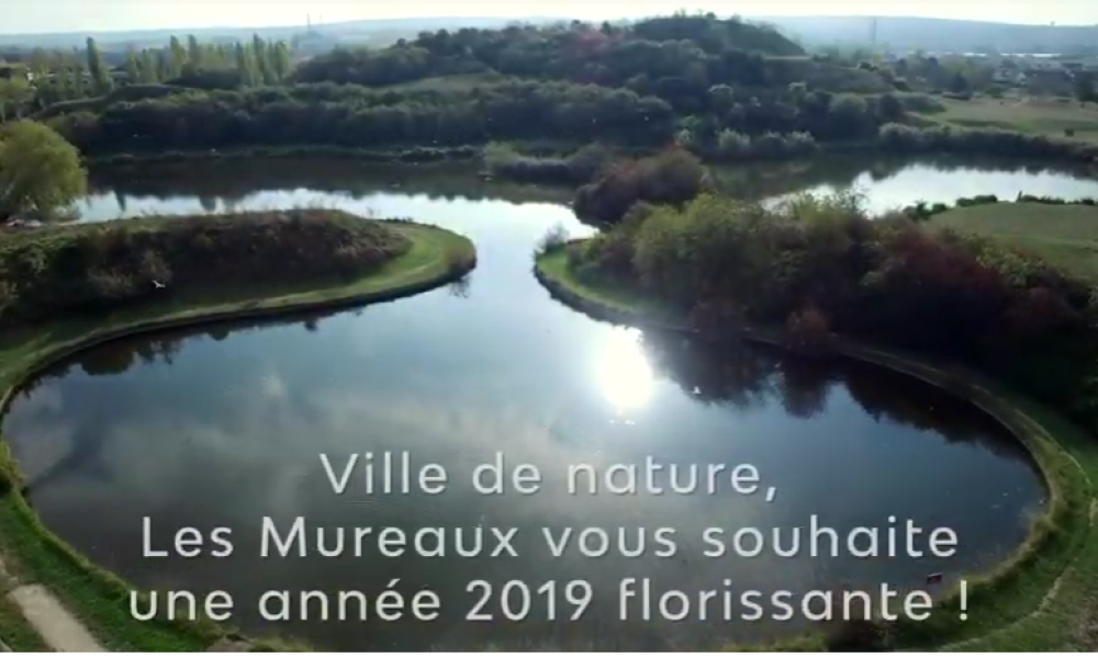 Voeux 2019 Les Mureaux