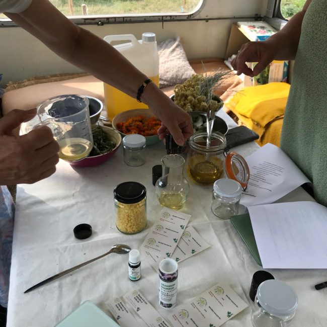 Atelier « Macérat & Baume Naturel »
