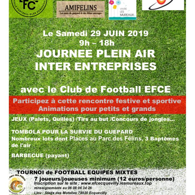 Tournoi de football inter-entreprises mixte de 3E.