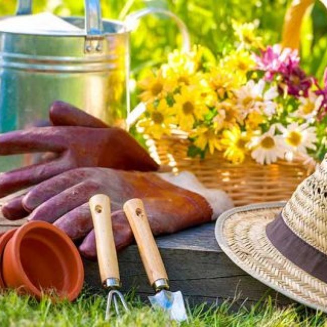 Prêter son jardin et partager les récoltes !